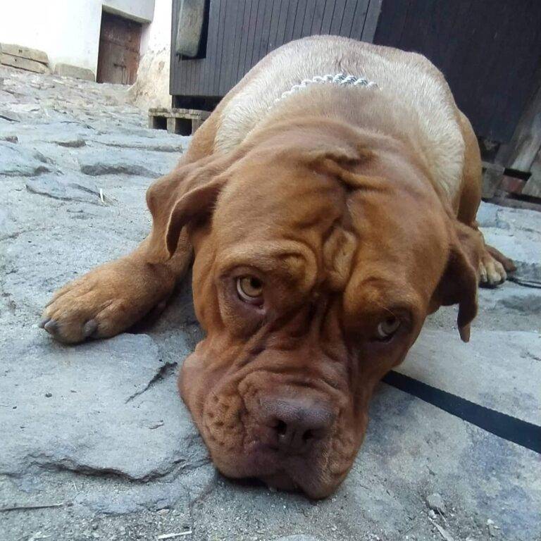 Magdalena