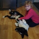 Pozdravy z nového domova: