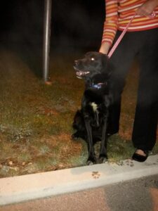 Goodwin – nalezenec