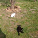 Pozdravy z nového domova: