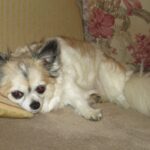 Pozdravy z nového domova: