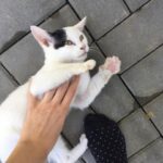 Pozdravy z nového domova: