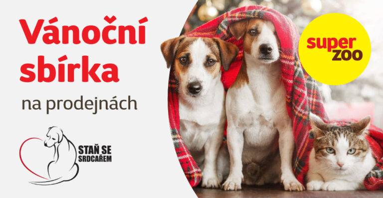 Vánoční strom splněných přání