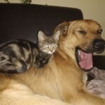 Pozdravy z nového domova: