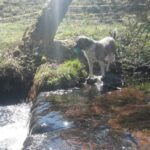 Pozdravy z nového domova: