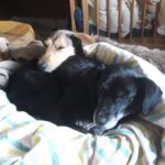 Pozdravy z nového domova: