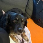 Bren – fotografie 30