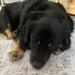 Bren – fotografie 31