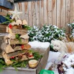 Micky – fotografie 21