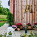 Micky – fotografie 23