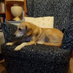 Julinka – fotografie 16