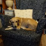 Julinka – fotografie 17