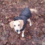 Julinka – fotografie 18