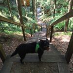 Dex – fotografie 25