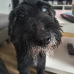 Čertisko – fotografie 17