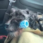 Čertisko – fotografie 18