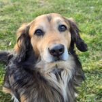 Sony – fotografie 18