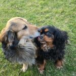 Sony – fotografie 19