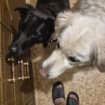 Meg – fotografie 20