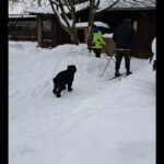 Peggy – fotografie 27