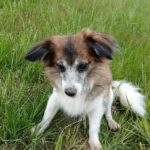Sunny – fotografie 20