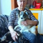 Sunny – fotografie 26