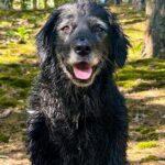 Angie – fotografie 22