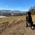 Angie – fotografie 27