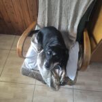 Mia – fotografie 14