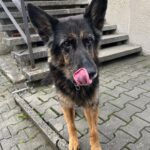 Angela – fotografie 14