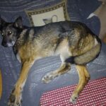 Tracy – fotografie 17