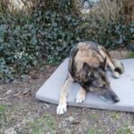 Tracy – fotografie 19