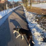 Čikina – fotografie 14