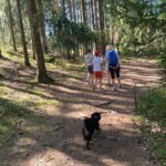 Rocky – fotografie 12