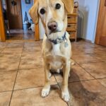 Sany – fotografie 19