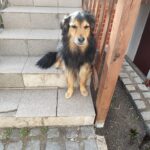 Walli – fotografie 24