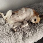 Žofí – fotografie 17