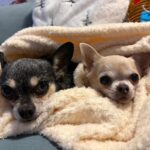 Lilu z Kamenice n. L. – fotografie 24