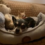 Lilu z Kamenice n. L. – fotografie 25