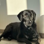 Riana – fotografie 29