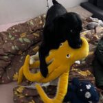 Riana – fotografie 30