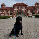 Riana – fotografie 31