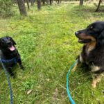 Riana – fotografie 32