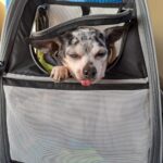 Flek z Kamenice n. L. – fotografie 20