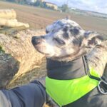 Flek z Kamenice n. L. – fotografie 21