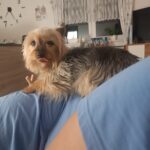 Timi – fotografie 23