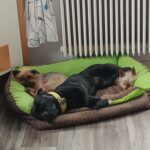 Timi – fotografie 24