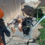 Timi – fotografie 25