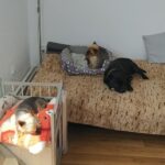 Timi – fotografie 26