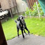 Ťapík – fotografie 29